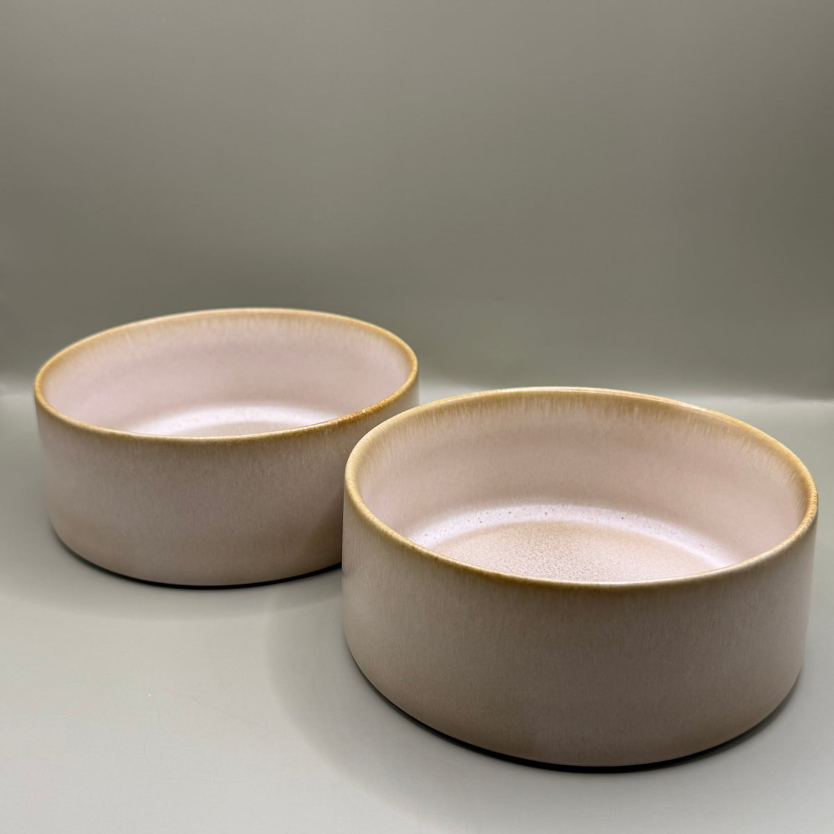 Luxe Voerbakken voor Honden – Set van 2 Klein